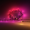Lichterkette 250 LED Girlande Festavia Christbaumbeleuchtung 20m CCT RGB PHILIPS HUE Bluetooth