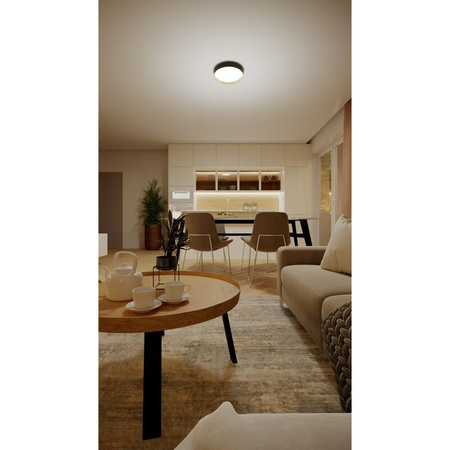 LED Plafond Deckenleuchte 24W 2800lm 4000K SceneSwitch Schwarz|Gold Hanno Philips