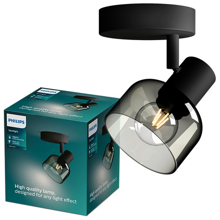 Wandleuchte E14 LED Schwarz Sleet Philips