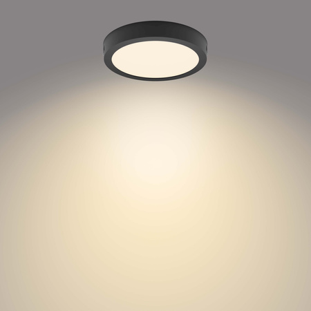 Plafond LED-Panel-Deckenleuchte MAGNEOS 12W 2700K 21cm schwarzes Downlight rund PHILIPS