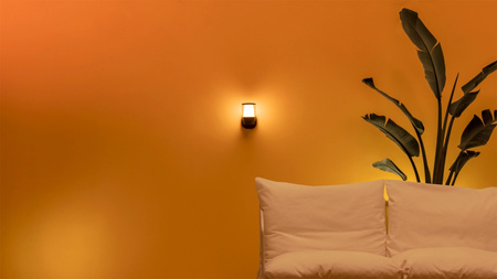 LED-Wandleuchte für den Außenbereich 8.5W RGB SMART WiFi WiZ