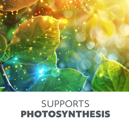 Vitaro 10W LED Stehtischlampe Kobi