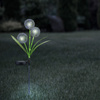 Solar LED Dekorative Licht Knoblauch Garten Blume angetrieben
