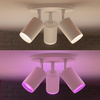 Philips HUE Weiß und Farbe Ambiance Fugato Lampe 3x4.2W Bluetooth Zigbee