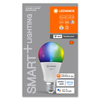 E27 A100 LED Lampen 14W 1521lm RGBW SMART+ WiFi Dimmbar Classic LEDVANCE