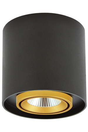 Aufbau-LED-Rundleuchte XENO 15W 3000K DOWNLIGHT Schwarz - Gold