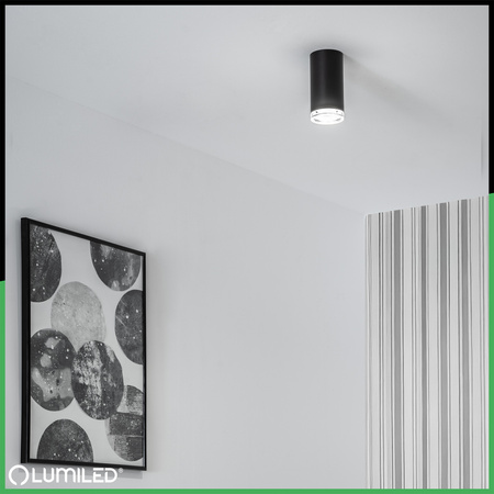 LED-Reflektor-Deckenleuchte Spot Tuba GU10 IP44 ADERO Schwarz Lumiled