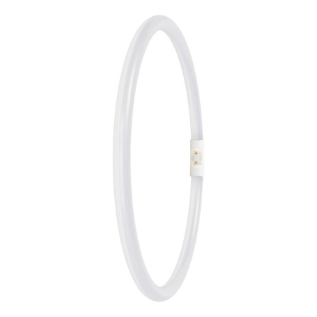 LED Kreisförmige Leuchtstofflampe 2GX13 T5 21.5W 3200lm 6500K Kalt 120° Ledvance