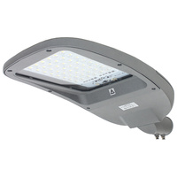 LED-Straßenlampe PIKE J DOB 100W 15000lm 4000K TYPE2-M Ledolux