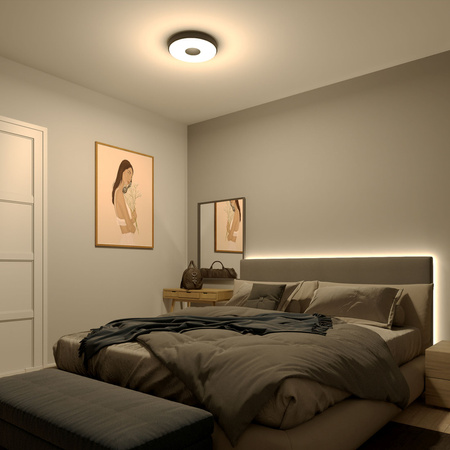 LED Plafond Deckenleuchte 24W 2700lm 2700K SceneSwitch Schwarz Coiner Philips