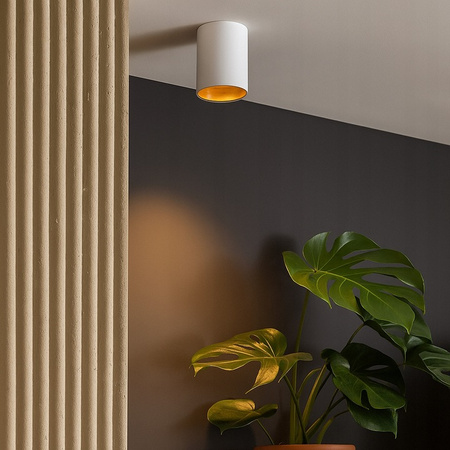 Aufputz-Halogen-Tubus-Reflektor-Spot GU10 Rund Weißgold Masterled