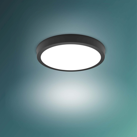 Plafond Panel LED Deckenanbauleuchte MAGNEOS 20W 2700K 28cm Schwarz Downlight Rund PHILIPS
