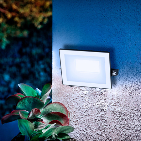 LED-Flutlicht Reflektor 20W 2050lm 5000K IP65 Schwarz Lois Philips