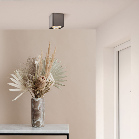 Spot GU10 Schwarz Gold XENO Sanico Goldlux Aufputzleuchte