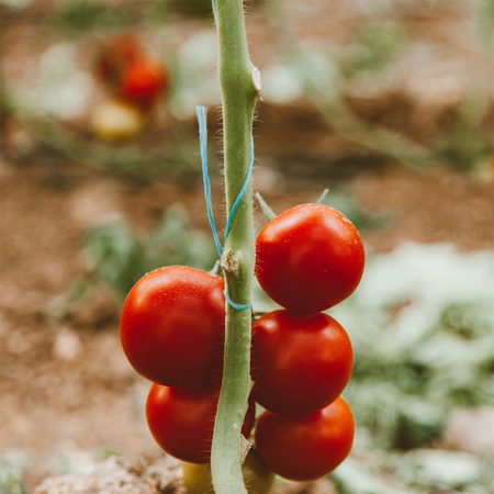 KORD Gartenschnur Polypropylen CELLFAST