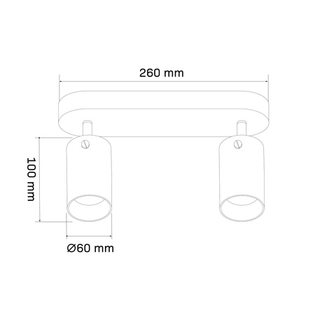 Wand- & Deckenstrahler 2x GU10 Schwarz SMOKY Sanico Goldlux