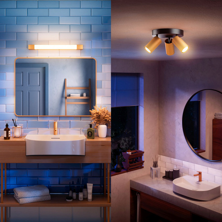 LED Spiegelbeleuchtung 5W 730lm 2700K 44cm IP44 Kupfer Rover Philips