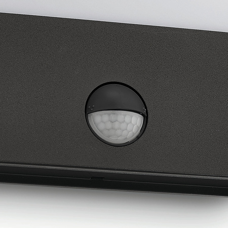 Gartenleuchte LED Wandleuchte RACCOON IR myGarden 3W 2700K IP44 mit Bewegungs- und Dämmerungssensor Anthrazit PHILIPS