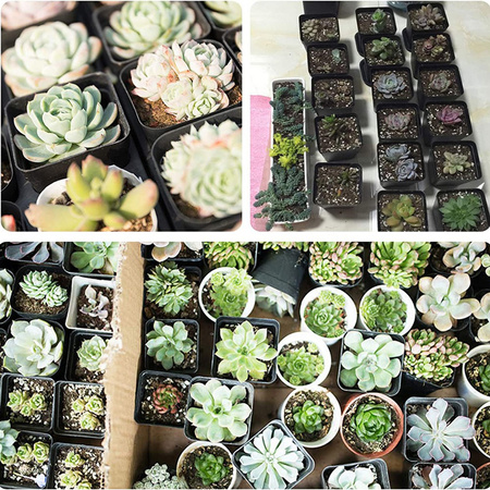 Set von 24x Torf Töpfe 8x8 cm für Sämlinge Aussaat Quilting Biologisch abbaubar Rund