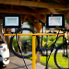 LED-Strahler 2x 30W, Arbeitslampe auf Stativ 4000K ZUNA LUMILED