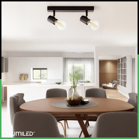 SPOT TUBA Reflektor Halogen-Deckenleuchte 2x E27 GLASA LUMILED