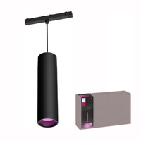 LED Perifo Schwarz 5.2W CCT RGB Philips HUE Bluetooth Deckenhängeleuchte