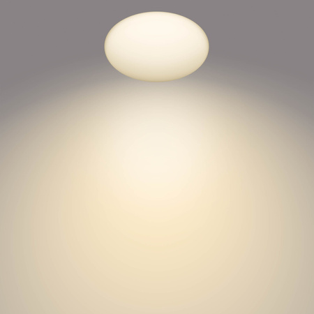 Plafond LED Aufputz SHAN 12W 2700K 26cm Rund mit Bewegungssensor PHILIPS