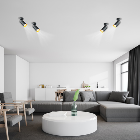 ERIS SPOT Deckenleuchte Reflektor GU10-Halogenlampe Schwarz und Gold