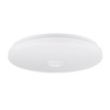 PLAFON LED 49cm runde Deckenleuchte RGBW 3000K-6500K + Fernbedienung BLUETOOTH-Lautsprecher