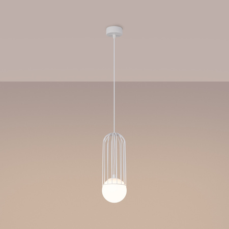 BRINA 1 G9 Weiß Modern SOLLUX Pendelleuchte für die Decke