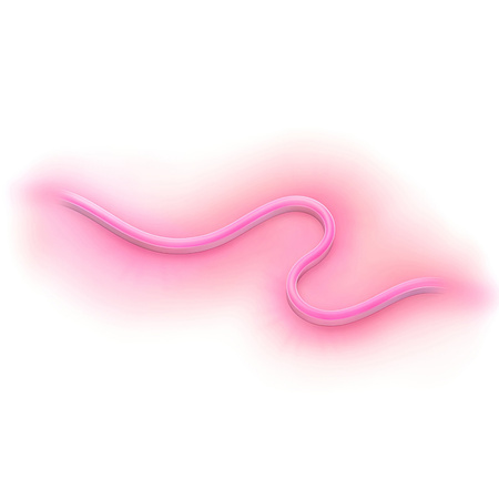 LED-Streifen für den Außenbereich 24W RGB 5M SMART WiFi WiZ