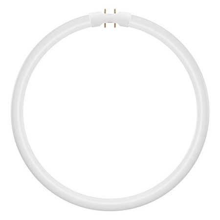 LED Kreisförmige Leuchtstofflampe 2GX13 T5 21.5W 3200lm 6500K Kalt 120° Ledvance