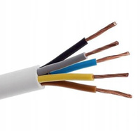 Drahtkabel OWY H05VV-F 300/500V 5x4mm Weiß 1m ELEKTROKABEL