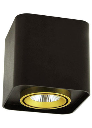 Aufbau-LED-Quadratleuchte XENO 10W 3000K DOWNLIGHT Schwarz - Gold