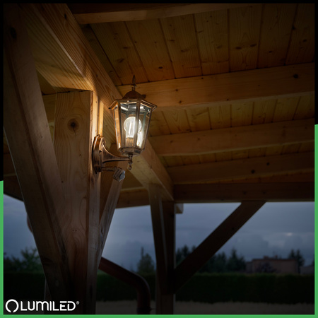 Wandleuchte Außen E27, Hängende Gartenlaterne mit Bewegungsmelder BELLIS LUMILED