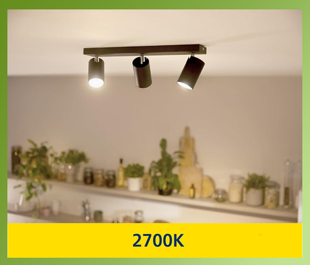 Halogen-LED Leuchtmittel GU10 PAR16 2,1W = 50W 375lm 2700K Warm 36° PHILIPS Ultra Efficient