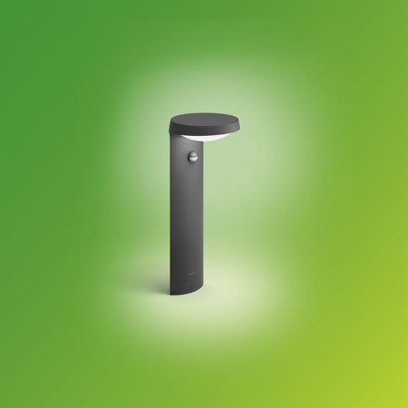 Außen-LED-Gartenlampe TYLA IR myGarden 9W 2700K IP44 mit Bewegungs- und Dämmerungssensor Mast 40cm Anthrazit PHILIPS