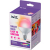 LED Lampen E27 G95 11W = 75W 2200-6500K + RGB SMART WiFi WiZ