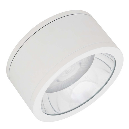 LED Spot Tuba SURFACE Anbauleuchte IP65 45W Neutral 4000K LEDVANCE