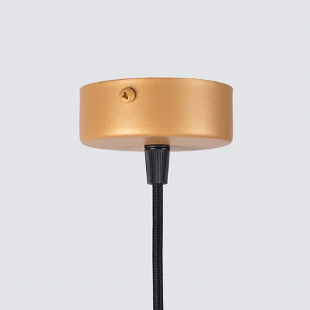 ARCHE 1 G9 Gold Modern SOLLUX Pendelleuchte für die Decke