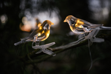 Solar Garten Girlande Lichtkette Vögel auf Clip 3,2m IP44 Warm