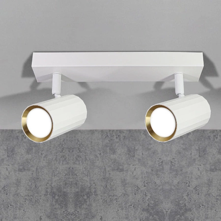 Wand- und Deckenstrahler 2x GU10 Weißgold NICEA Sanico Goldlux