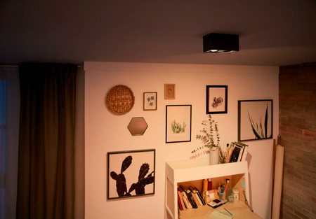 LED-Halogen-Anbauleuchte 2x 4,5W BOX Beweglich Schwarz PHILIPS