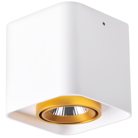 Aufbau-LED-Quadratleuchte XENO 10W 3000K DOWNLIGHT Weiß - Gold