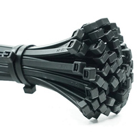 100x Kabelbinder 2.5x100mm Schwarz LUMILED