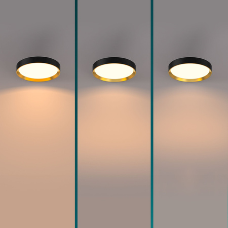 LED Plafond Deckenleuchte 24W 2700lm 2700K SceneSwitch Schwarz Hanno Philips