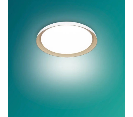 LED Plafond Deckenleuchte 10W 1950lm 4000K SceneSwitch Weiß Pebblo Ultra Efficient Philips