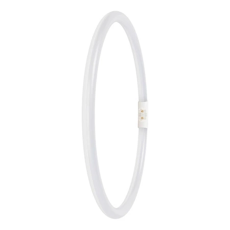 LED Kreisförmige Leuchtstofflampe 2GX13 T5 21.5W 3200lm 6500K Kalt 120° Ledvance