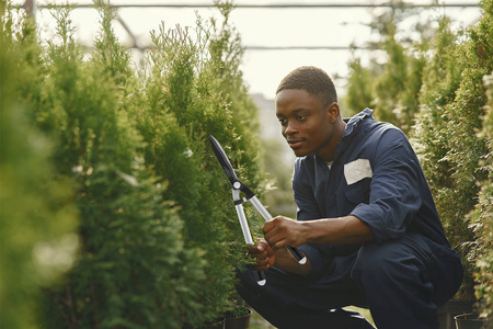 Gerade Gartenschere BASIC CELLFAST