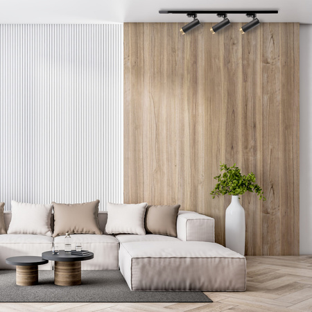 Stromschienen-Kit 1-Phasen-Schiene + 3x GU10 Reflektor Schwarz FADO Sanico Goldlux